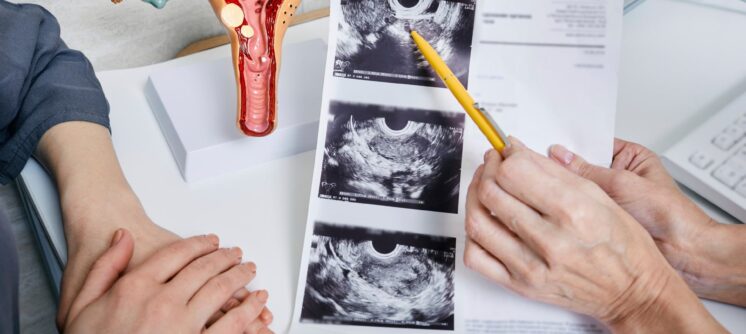 Untitled design (19)